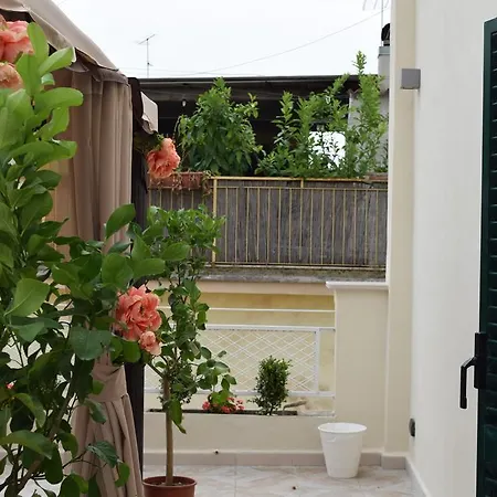 Domus Al Corso Con Servizio Guest house 3*