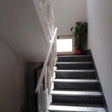 Guest house Domus Al Corso Con Servizio